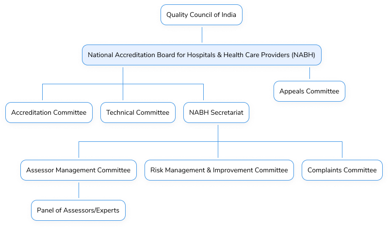 NABH-Structure