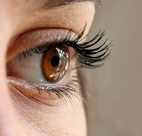 Document for Eye Care Organisations Accreditation Programme