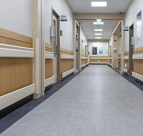 Document for Entry Level Small Healthcare Organization (SHCO) Certification Programme